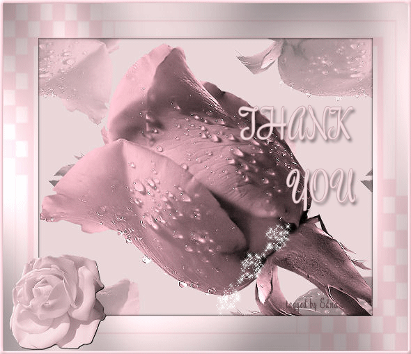 sticker_17907517_27981583