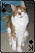 sticker_6195420_40328017