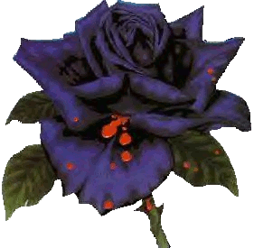 sticker_14343847_31201662