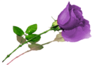 sticker_1177481_1620628