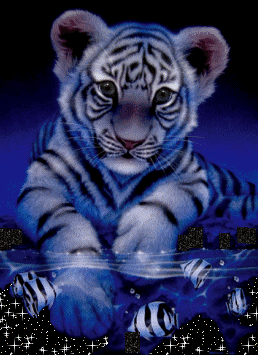 sticker_14627485_35274031