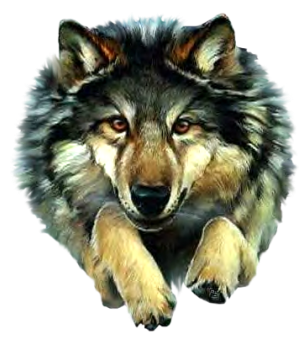 sticker_10041704_19038673