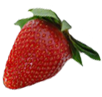 sticker_14158913_21488597