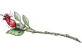 sticker_22226974_40925018