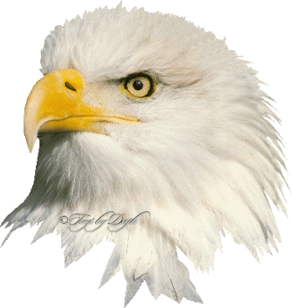 sticker_23052402_32283232
