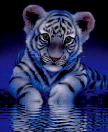 sticker_8987740_16333150