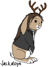 sticker_10389009_29515788