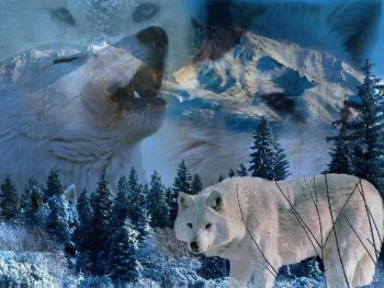 sticker_20004153_27983775