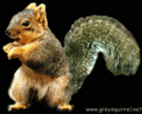 sticker_25177357_35021337