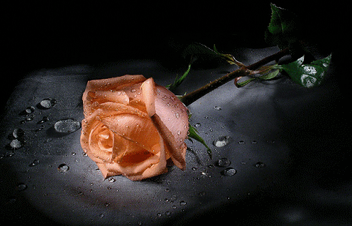 sticker_24299973_38910325