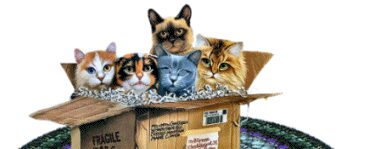 sticker_6856835_9413288