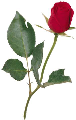 sticker_26316149_41400649