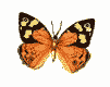 sticker_11768054_14995809