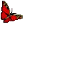 sticker_21661993_34776408