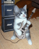 sticker_2298293_9804523