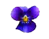 sticker_817678_46298969