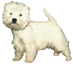 sticker_10686426_15136298