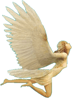 sticker_5412502_16590948