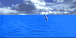 sticker_16077486_21134305