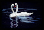 sticker_11107777_15220795