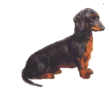 sticker_14915318_29698410