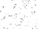 sticker_28042473_43866320