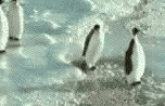 sticker_25269348_37076034