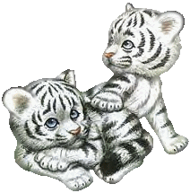 sticker_4986429_15096079