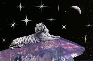 sticker_20021762_39525806
