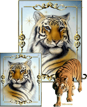 sticker_3682101_12012293
