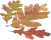 sticker_15713746_36815683