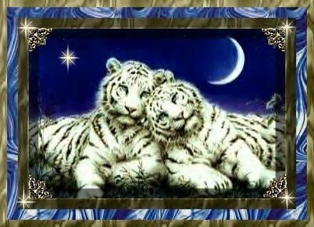 sticker_20328914_36741730