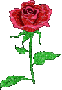 sticker_12458452_21001420
