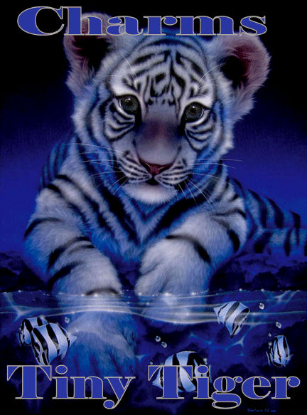 sticker_15507639_33252060