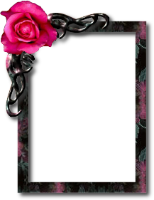 sticker_12349650_22748700