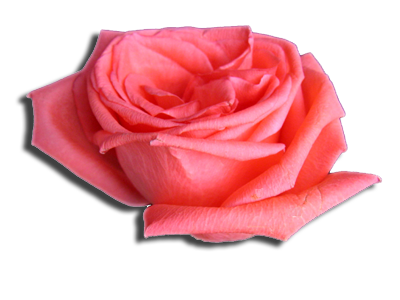 sticker_5157873_10173038