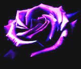 sticker_5260502_9443230
