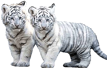 sticker_166449_2159954