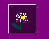 sticker_22104252_38571310