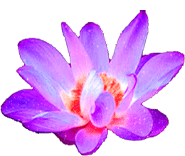 sticker_25367501_41056742