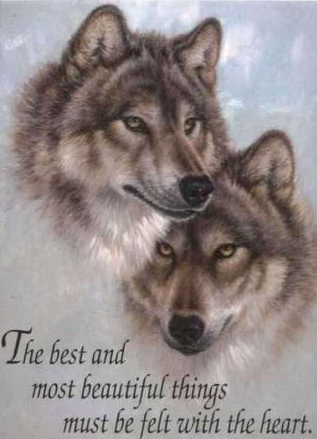 sticker_15799849_40234036