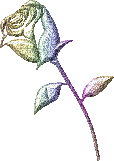 sticker_10464538_14662273