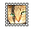 sticker_17652463_46748532
