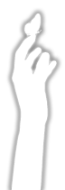sticker_8140317_32644976