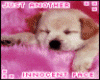 sticker_24625877_37777956