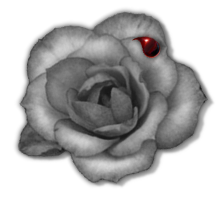 sticker_19241474_25614063