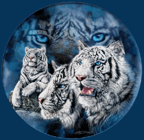 sticker_18359013_37640477