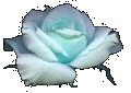 sticker_7888019_11305632