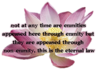 sticker_6589907_34368138