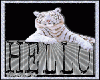 sticker_14891470_35511512